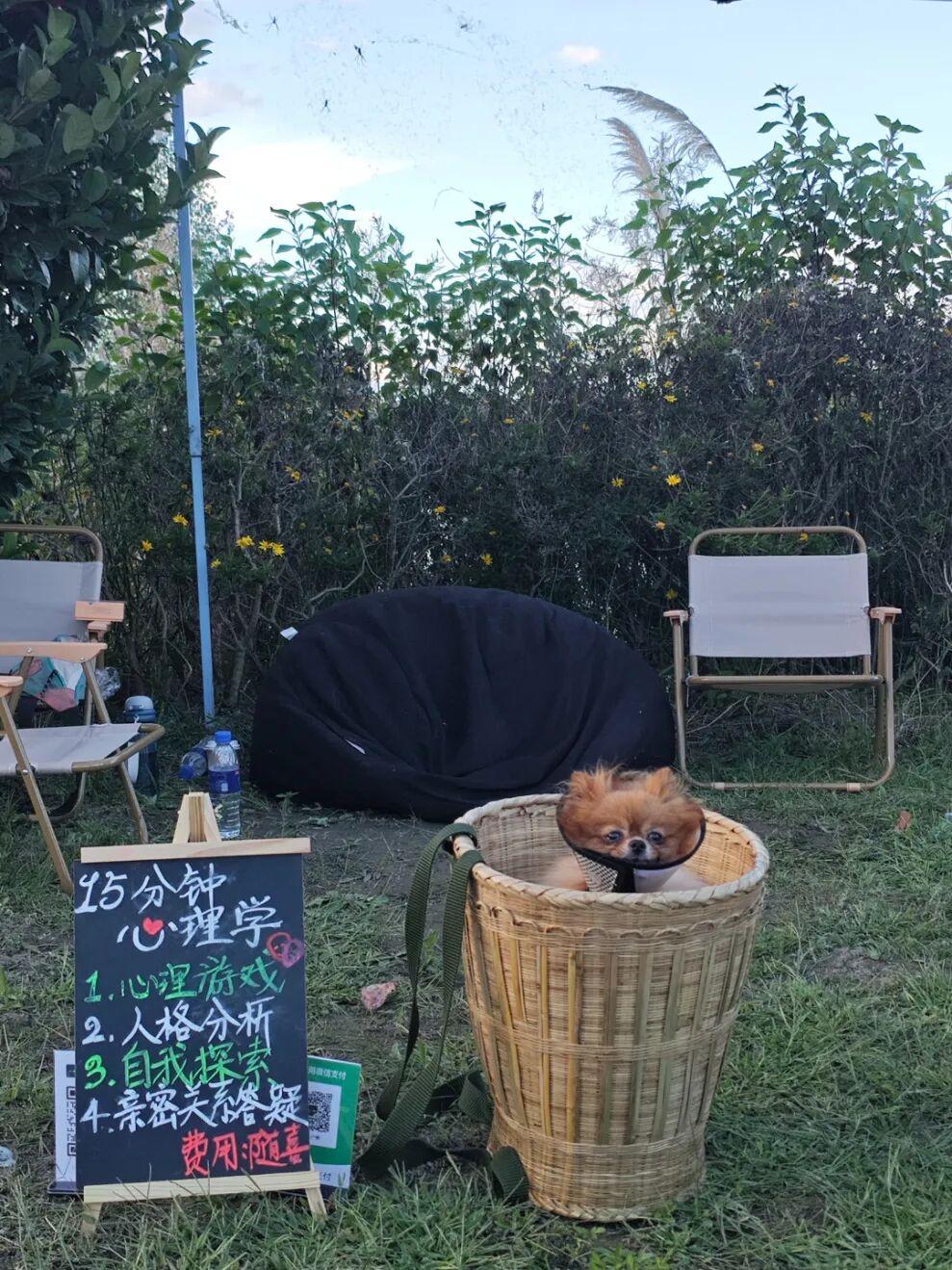 Soul兴趣主理人：从接骨医师到心灵接线员插图4