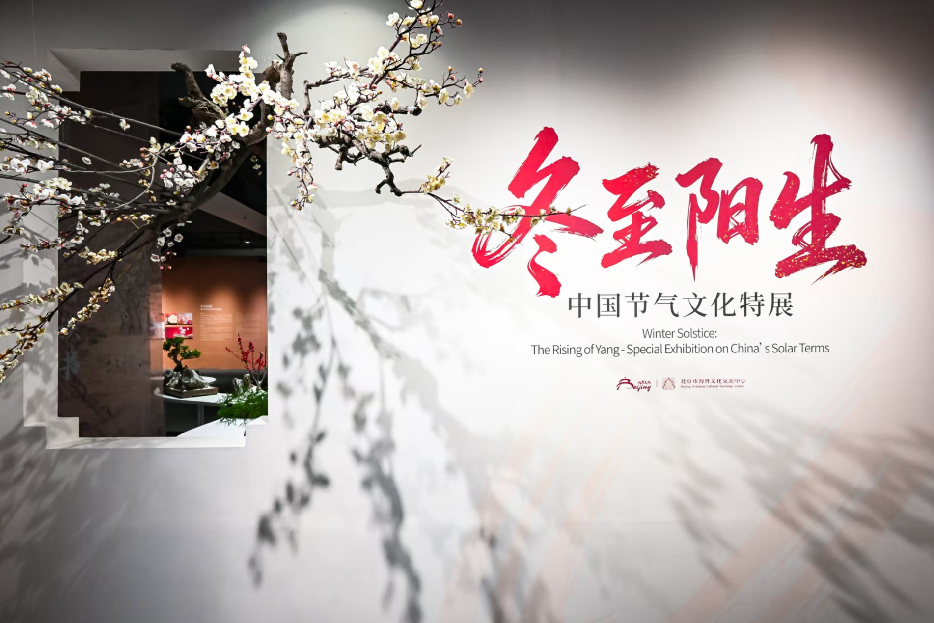 中外宾朋共聚首 冬至为媒促交流  2025“你好，北京”冬至启春韵活动成功举办插图2