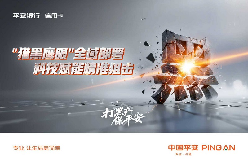 一次性信用修复≠“征信洗白”：小心黑产套路！插图1