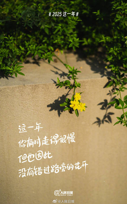 2025这一年你过得怎么样插图 2025这一年你过得怎么样插图