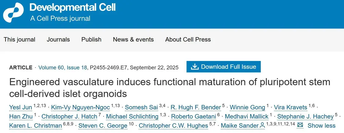 为什么说糖尿病可能是最先被攻克的人体常见病?——最新生物学技术成功“定制”人类专属胰岛插图