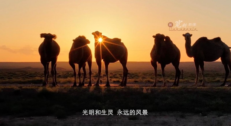 50 集内蒙古大型航拍风情片—《马背牧云》震撼发布航拍人以镜头绘就内蒙古风情长卷插图5