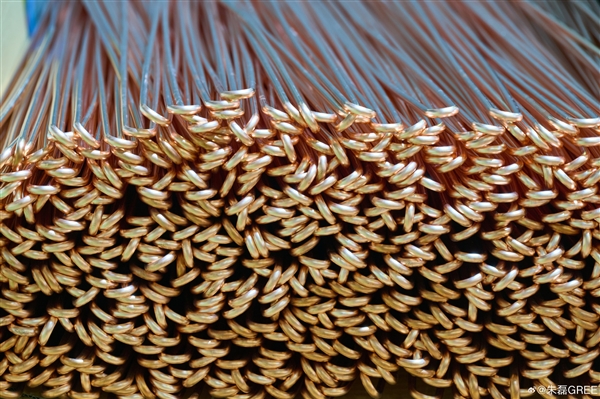 董明珠:你一年电费5000元 铝代铜后电费可能飙至1万元!插图 董明珠:你一年电费5000元 铝代铜后电费可能飙至1万元!插图