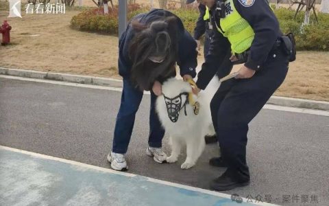 下月起实施， 这一行为最高可拘留10天罚1000元