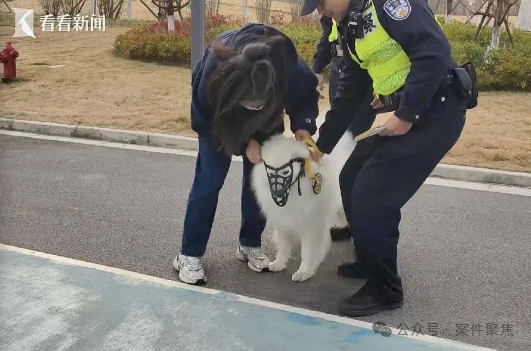 下月起实施， 这一行为最高可拘留10天罚1000元插图