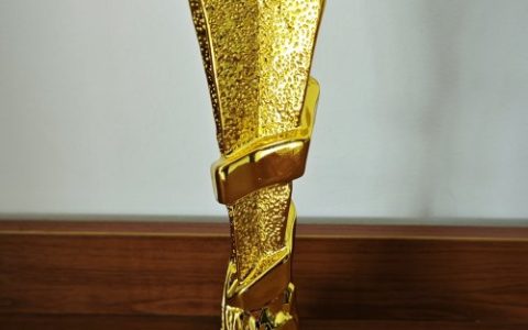 无忧服务获客户信赖！苏州金龙荣膺年度卡思调查“杰出表现品牌”