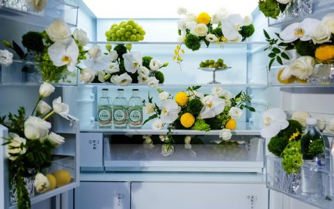 东芝大白梨系列新品荣膺红顶奖，定义全能冰箱新标准