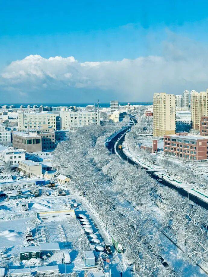 积雪深度超20厘米！威海暴雪为何这么厉害？插图