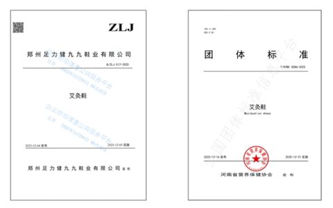 足力健连发艾灸鞋双标准：34 项标准矩阵引领银发产业规范发展