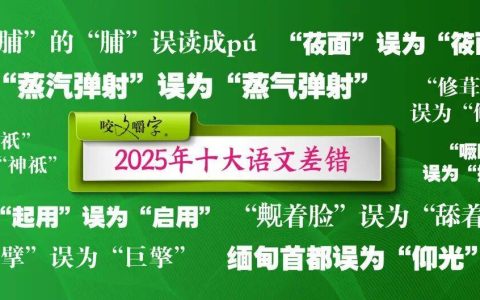 2025年十大语文差错公布