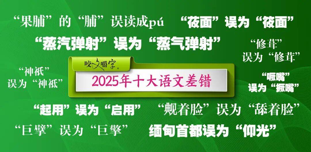 2025年十大语文差错公布插图
