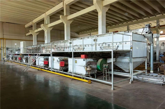 中国市场规模破千亿  宿迁成国内核心产区之一 国产碧根果新鲜上市插图1