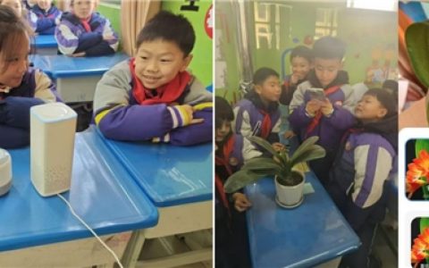 探秘AI小世界，争当科技小达人