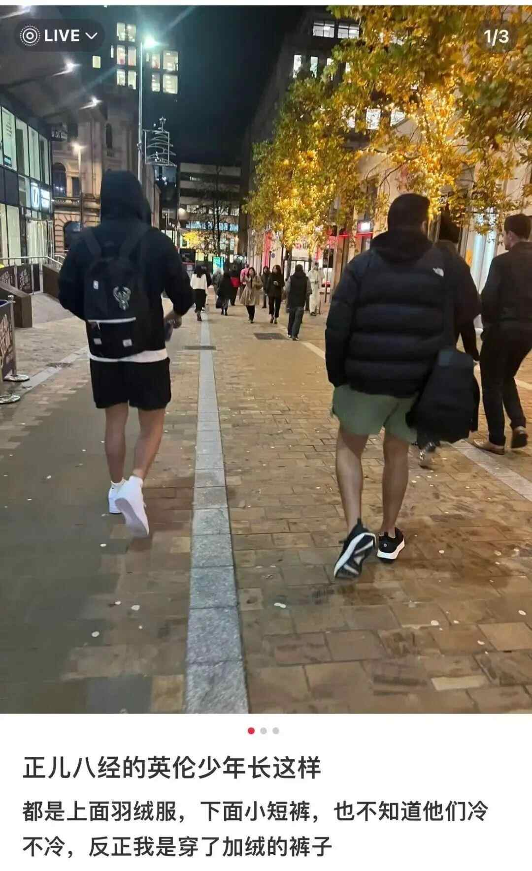 哈尔滨零下20℃外国游客光腿穿短裤，外国人为啥这么抗冻？插图