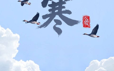 今日小寒 愿你心向暖阳 静待春归