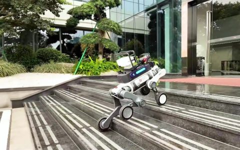 安防进入“具身智能时代”：云深处科技机器狗重构园区巡逻体系