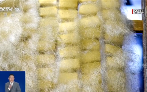 自制霉豆腐火了！央视提醒不要尝试：可能爆发致病杂菌