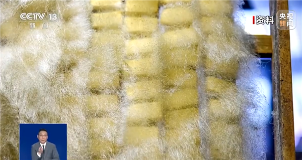 自制霉豆腐火了!央视提醒不要尝试:可能爆发致病杂菌插图 自制霉豆腐火了!央视提醒不要尝试:可能爆发致病杂菌插图