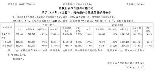 2025中国汽车第一城之争尘埃落定：重庆近250万辆领跑插图