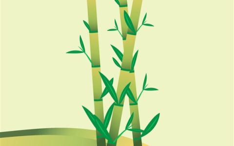 竹子穿透路灯生长引关注 网友：竹坚强