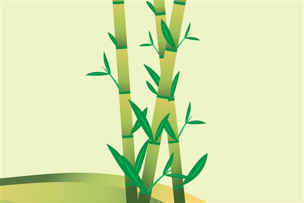 竹子穿透路灯生长引关注 网友：竹坚强