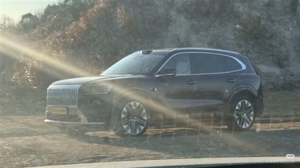 宝马X5国产平替 极氪8X实车出街插图