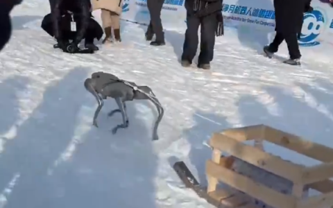 零下20℃极端场景竞技！首届净月机器人冰雪趣味赛来了