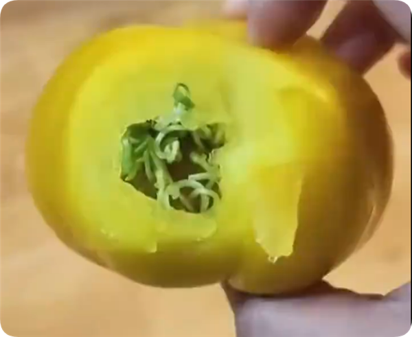 西红柿放30天外皮完好 咬开发现里面长满豆芽 专家：基本上可以食用插图