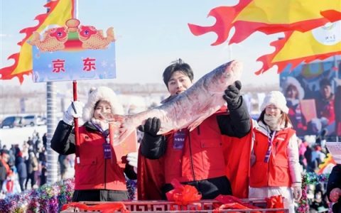 价值169万元！京东宣布拿下查干湖冬捕头鱼 免费送