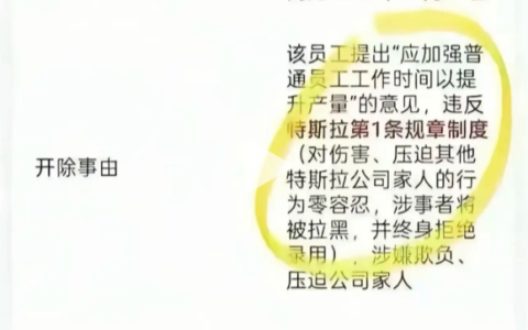 网传特斯拉产线组长因提倡加班提升产能 结果被全票表决开除