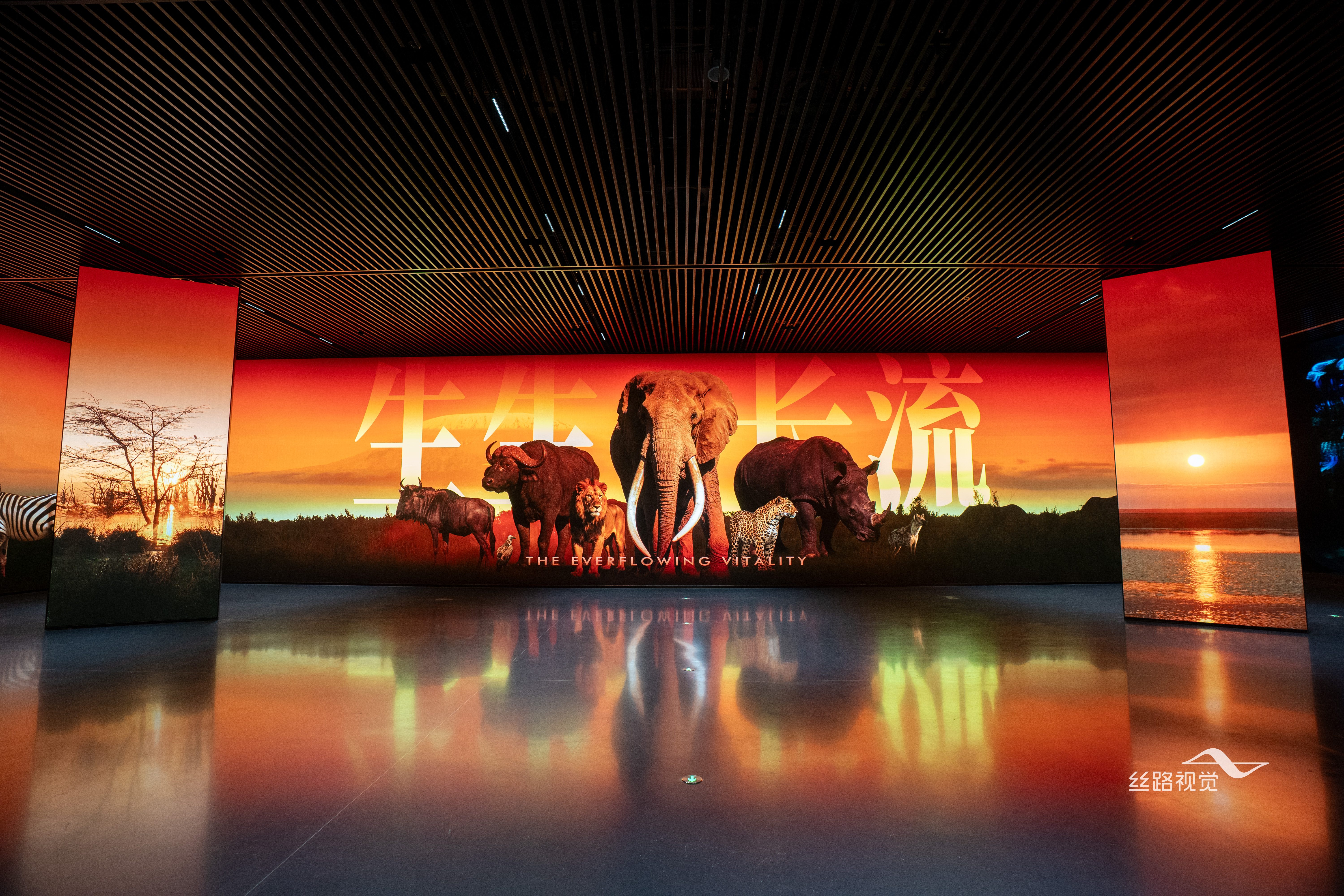 试运营启幕！丝路视觉见证龙岗国际艺术中心璀璨绽放插图2