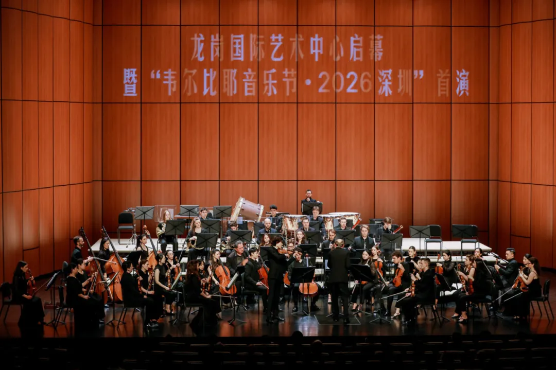 试运营启幕！丝路视觉见证龙岗国际艺术中心璀璨绽放插图6