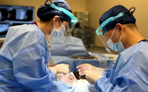 “不想拔最后一颗牙！”海南老人来沪实现半口牙“重生”