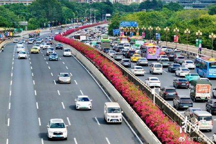 广东高速春运迎出行高峰春运插图