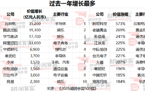 2025胡润中国500强发布：台积电蝉联第一！小米首次进入前十