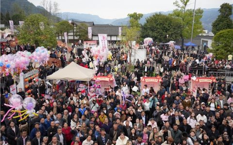 宜宾兴文九丝城镇2026年“二月二文昌会”非遗民俗活动精彩收官