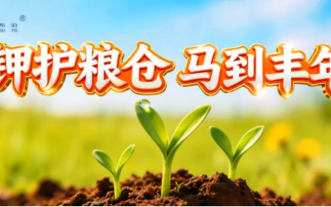 抢前抓早守农时，市场布局显担当｜国投罗钾奏响春耕保供“序曲”