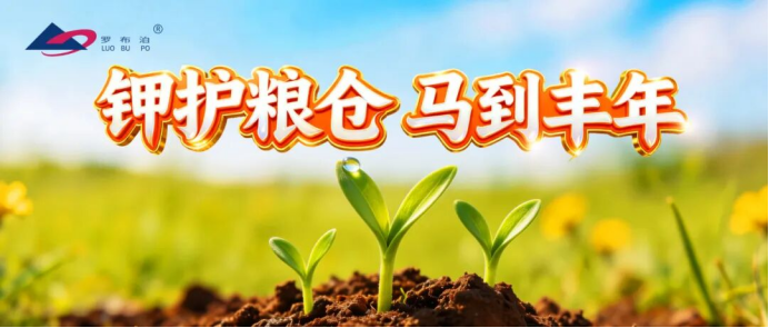 抢前抓早守农时，市场布局显担当｜国投罗钾奏响春耕保供“序曲”插图