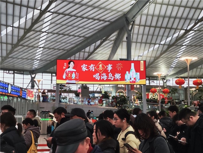 提货量破千万！海岛椰成东鹏饮料马年春节最大亮点插图2