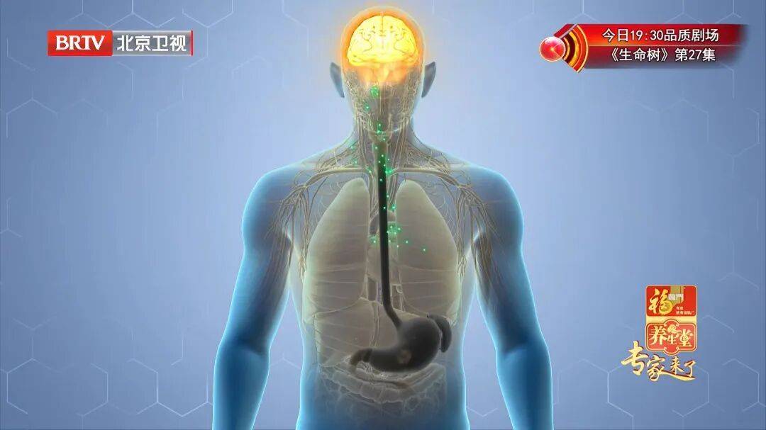 养脾胃比小米还厉害，连喝7天，肚子舒坦了，上中下都通了插图5