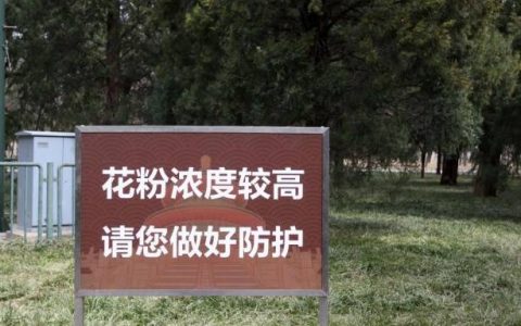 专家解惑 关于花粉过敏的6个认知误区