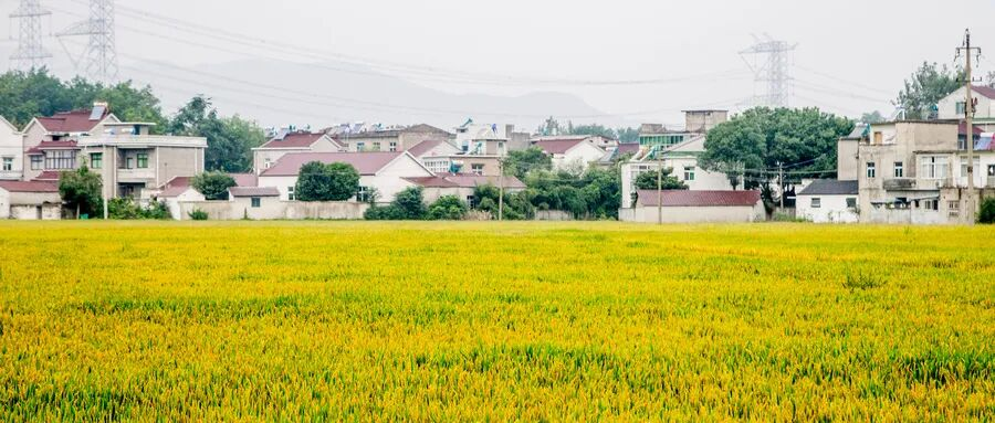 两会定调农村建房新风向！智木艺墅给出“合规+美观”满分答案插图2