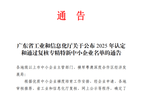 喜讯|再获省级认可！能飞航空集团通过2025“专精特新”复核！