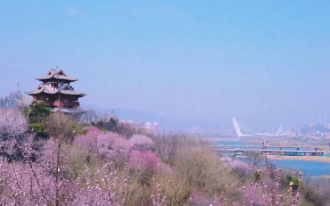 永定塔将于3月21日正式对外开放