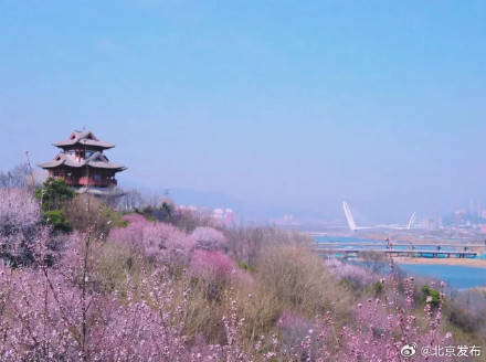 永定塔将于3月21日正式对外开放插图