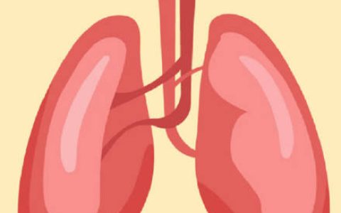 儿童患肺结核的症状和成年人有什么不同？