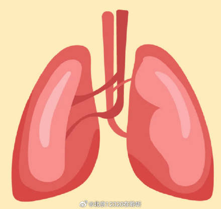 儿童患肺结核的症状和成年人有什么不同？插图