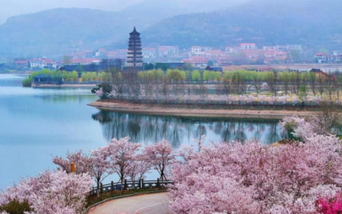 大圣故里连云港邀您春假趣游！大圣召唤山海撒欢，多重惊喜福利一站搞定！