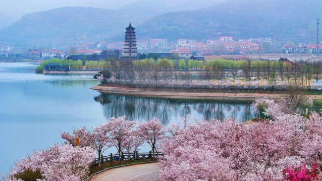 大圣故里连云港邀您春假趣游！大圣召唤山海撒欢，多重惊喜福利一站搞定！插图