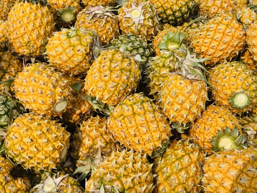 菠萝好“丰”景，增收“有甜头”，罗布泊产品赋能金色果海，激活产业新动能插图